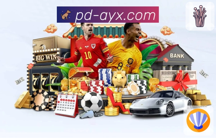 分类管理 分类管理 - 按联赛球队自定义分组